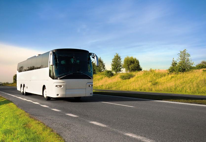 Cunoaște câteva cuvinte despre Autobuz